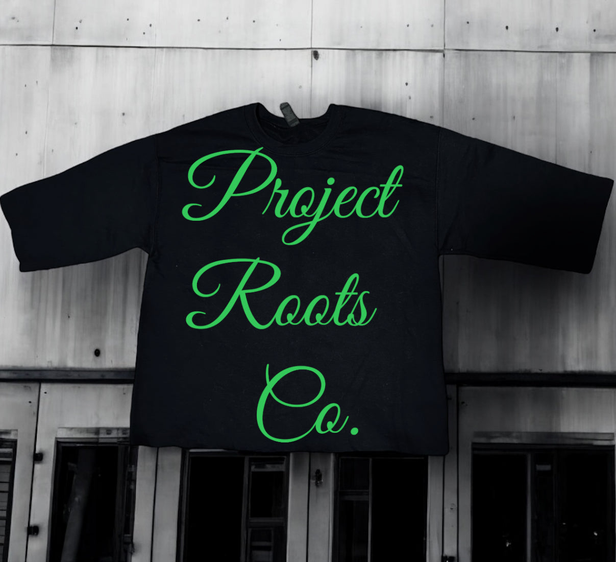 Venomous Oversized TEE'S