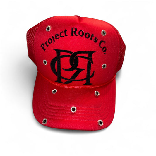 Project roots truckers